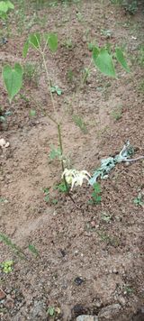 팜모닝 2024년 농사 계획은?·참여글 게시글 이미지