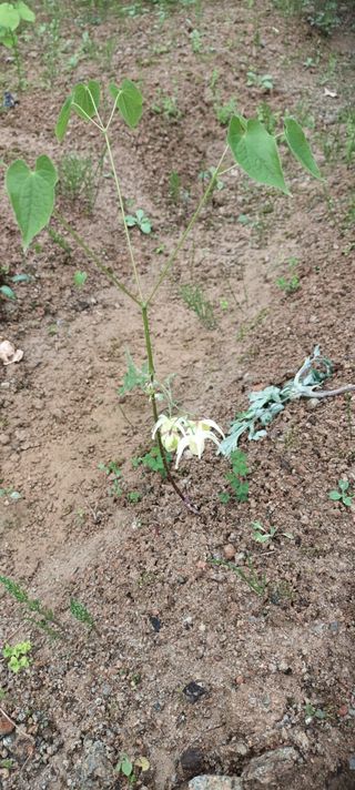 김광국님의 2024년 농사 계획은? · 참여글 작성글 사진