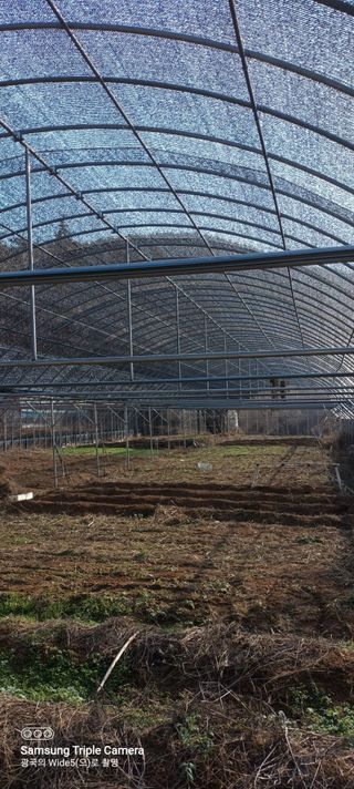 김광국님의 2024년 농사 계획은? · 참여글 작성글 사진