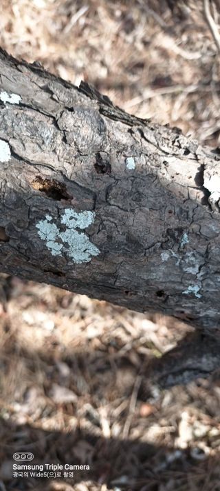 김광국님의 2024년 농사 계획은? · 참여글 작성글 사진