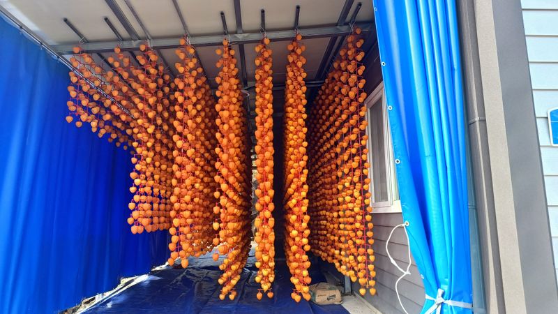 이순기님의 장터 판매 상품 [감 말랭이600g] 첨부 사진