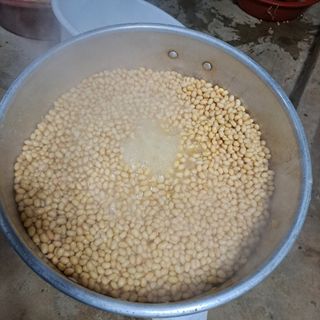 보리님의 2024년 농사 계획은? · 참여글 작성글 사진