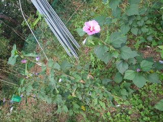 님프의 숲님의 작성글 사진