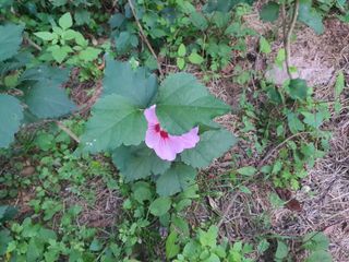 님프의 숲님의 작성글 사진