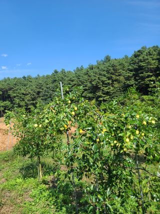 나드리님의 2024년 농사 계획은? · 참여글 작성글 사진