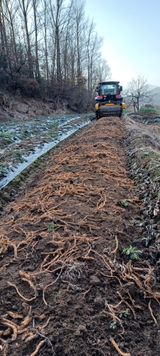 팜모닝 기타작물·자유게시판 게시글 이미지