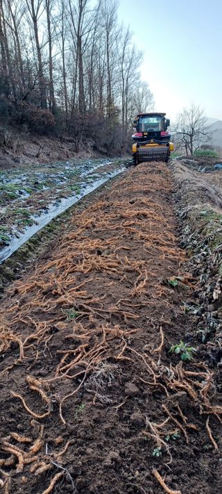 최평선님의 기타작물 · 자유게시판 작성글 사진