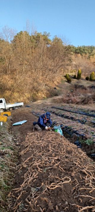최평선님의 기타작물 · 자유게시판 작성글 사진