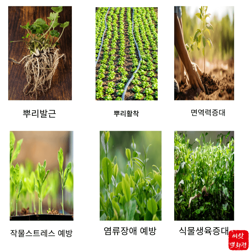 대산농사대장님의 장터 판매 상품 [[초특가 할인] 멀티뿌리500ml] 첨부 사진