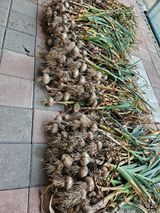 이도상님의 2024년 농사 계획은?·참여글 작성글 사진