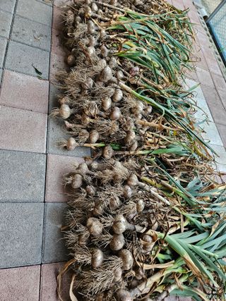 이도상님의 2024년 농사 계획은? · 참여글 작성글 사진