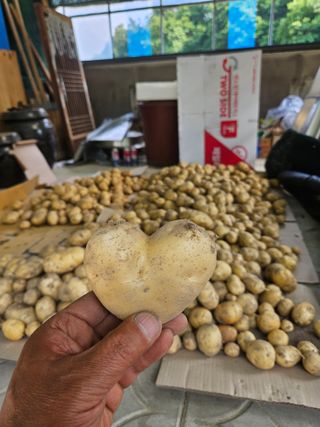 이도상님의 2024년 농사 계획은? · 참여글 작성글 사진