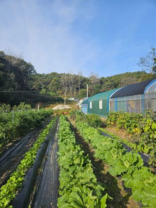 이도상님의 2024년 농사 계획은? · 참여글 작성글 사진