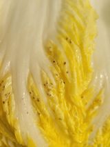 팜모닝 배추·병해충상담 게시글 이미지