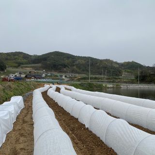 박흠님의 2024년 농사 계획은? · 참여글 작성글 사진