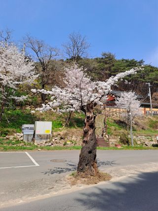박흠님의 2024년 농사 계획은? · 참여글 작성글 사진