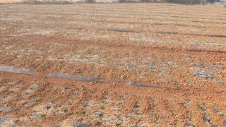 고창 다현이네님의 2024년 농사 계획은? · 참여글 작성글 사진