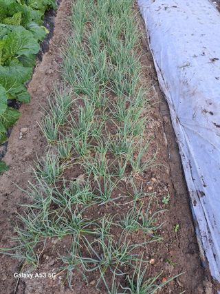 김만호님의 2024년 농사 계획은? · 참여글 작성글 사진