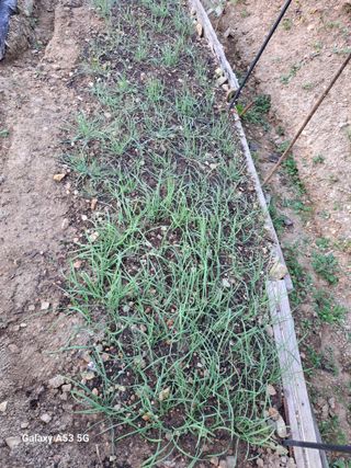 김만호님의 2024년 농사 계획은? · 참여글 작성글 사진