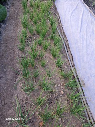 김만호님의 2024년 농사 계획은? · 참여글 작성글 사진