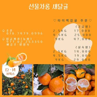 새달귤농장님의 2024년 농사 계획은? · 참여글 작성글 사진
