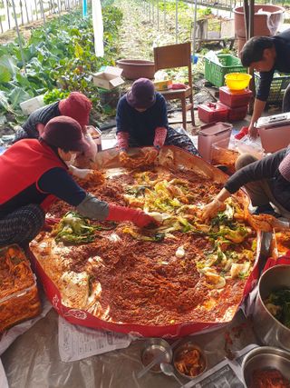 김화연님의 2024년 농사 계획은? · 참여글 작성글 사진