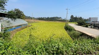 김화연님의 2024년 농사 계획은? · 참여글 작성글 사진