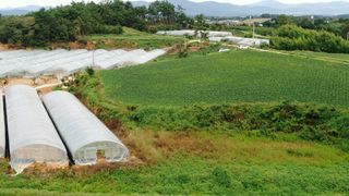 김화연님의 2024년 농사 계획은? · 참여글 작성글 사진