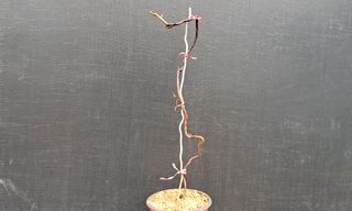 이정운님의 기타작물 · 자유게시판 작성글 사진