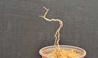 이정운님의 기타작물 · 자유게시판 작성글 사진