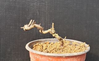 이정운님의 기타작물 · 자유게시판 작성글 사진