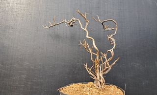 이정운님의 기타작물 · 자유게시판 작성글 사진