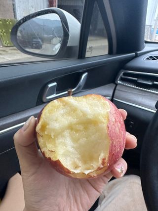 김성미님의 작성글 사진