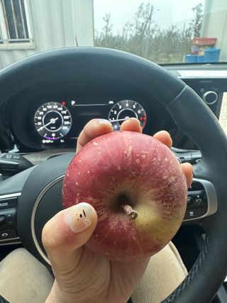 김성미님의 작성글 사진