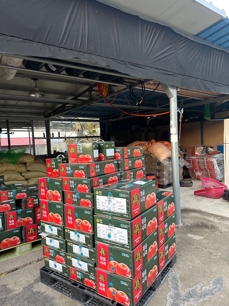 김성미님의 장터 판매 상품 [청송사과 가정용 5kg] 첨부 사진