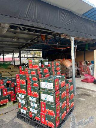 김성미님의 작성글 사진