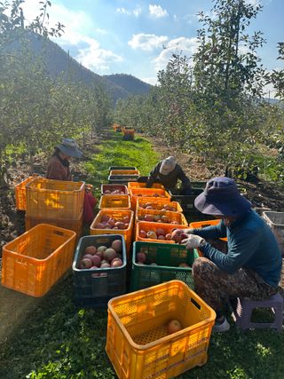 김성미님의 작성글 사진