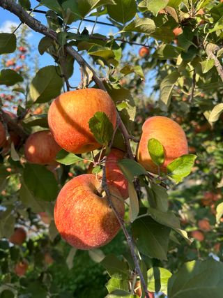 김성미님의 작성글 사진