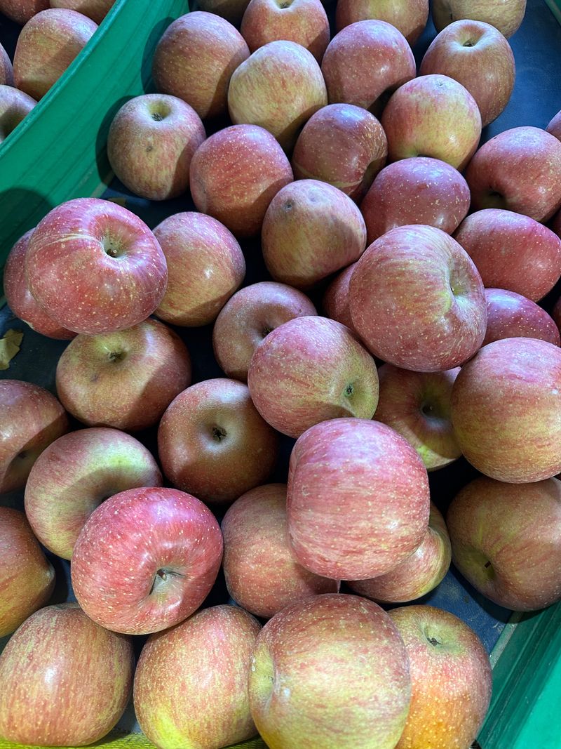 장터 상품 [청송사과 가정용 5kg] 썸네일