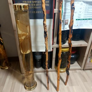 권세민님의 자유주제 · 자유게시판 작성글 사진