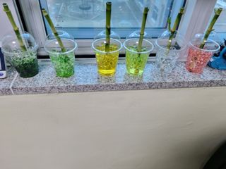 그린1505님의 기타작물 · 자유게시판 작성글 사진