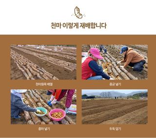 파머스팜X유성천마님의 작성글 사진