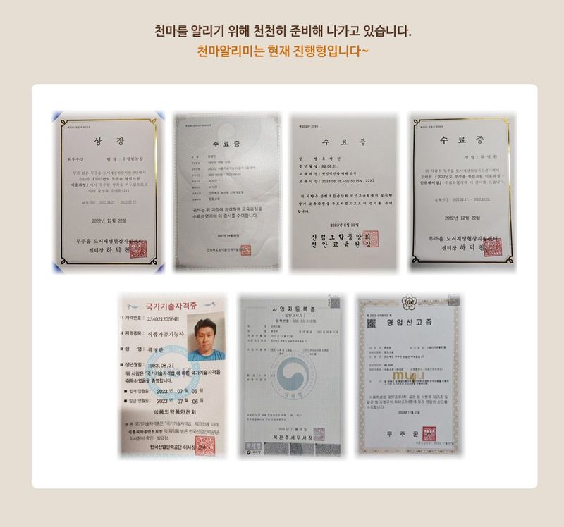 파머스팜X유성천마님의 장터 판매 상품 [무주반디파머스 천마분말150] 첨부 사진