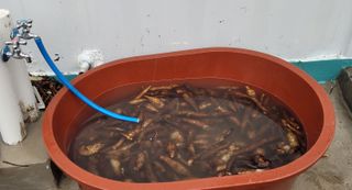 도시농부 박태영님의 기타작물 · 영농일지 작성글 사진