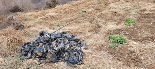 도시농부 박태영님의 고추 · 영농일지 작성글 사진