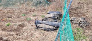 도시농부 박태영님의 고추 · 영농일지 작성글 사진