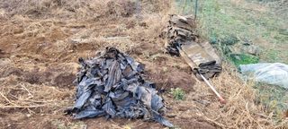 도시농부 박태영님의 고추 · 영농일지 작성글 사진