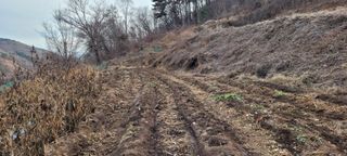 도시농부 박태영님의 고추 · 영농일지 작성글 사진