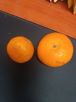 김인숙 님의 최근 내가 구매한 것은? · 참여글 작성글 사진