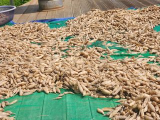 이창신님의 기타작물 · 자유게시판 작성글 사진